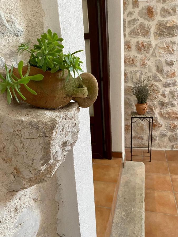 Villa Mediterranea Murter Esterno foto